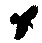 flying raven graphic