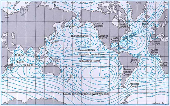 Ocean Surface Currents Map