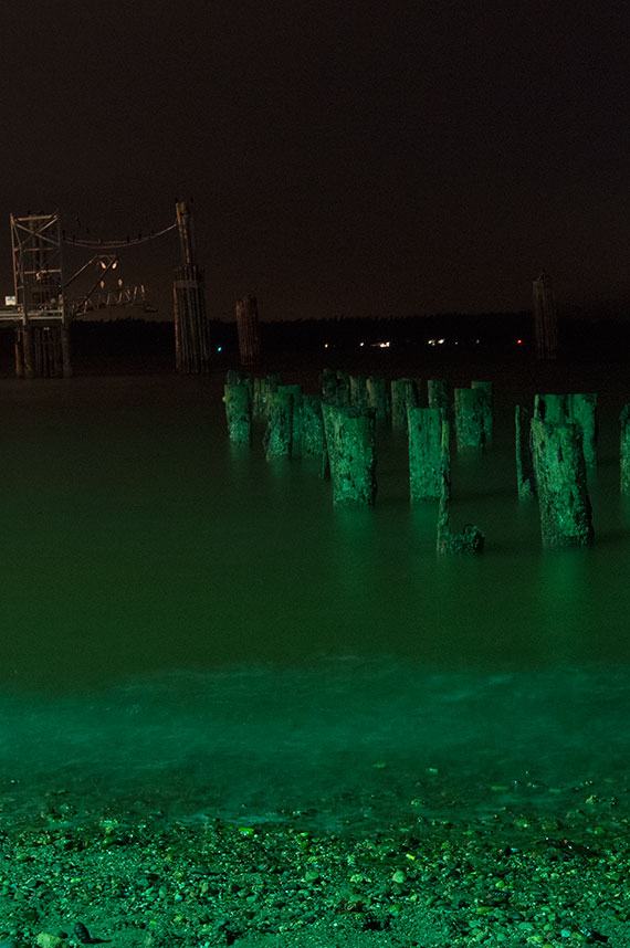 2/1/2013, 7:55:32 PM: Old pier posts at night