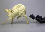 Beth Cavener Stitcher
