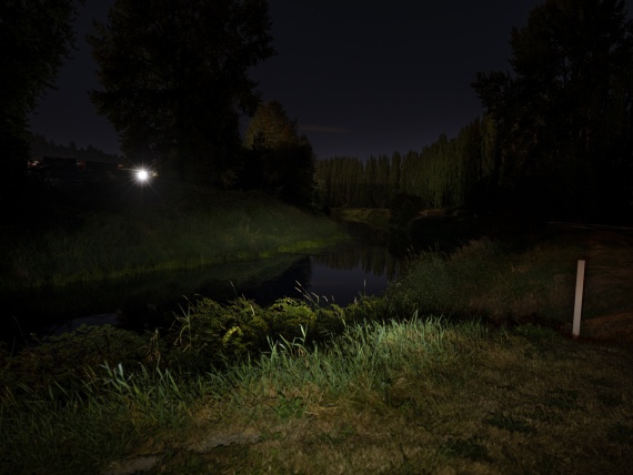 night scene along Sammamish River Trail