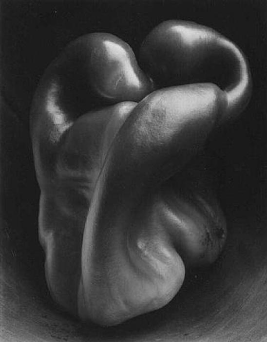 American, 1886-1958, shells, veggies, landscapes, nudes, affairs with Tina Modotti and others