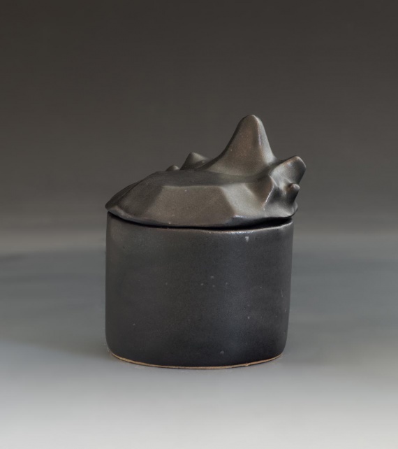 Black pot with sculpted lid by Vanessa Retallick