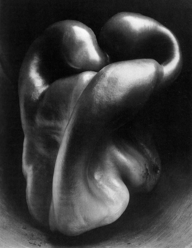 <p><b>Edward Weston</b>, <i>Pepper No. 30</i>, 1930.</p>