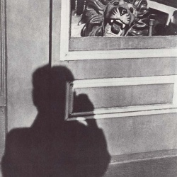 <p><b>André Kertész</b>, <i>Lion and Shadow</i>, 1949.</p>