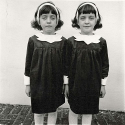 <p><b>Diane Arbus</b>, </i>Identical Twins, Roselle, New Jersey, 1967</i>.</p>