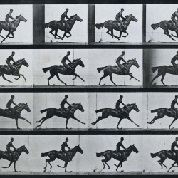 <p><b>Eadweard Muybridge</b>, <i>Jockey on a galloping horse</i>, plate 627 from 'Animal Locomotion', 1887.</p>