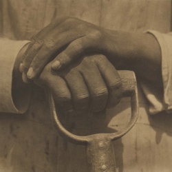 <p><b>Tina Modotti</b>, <i>Worker's Hands</i>, 1927.</p>