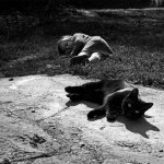 <p><b>Alain Laboile</b>, from the series 'La Famille'.</p>