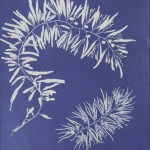 <p><b>Anna Atkins</b>, <i>Sargassum plumosum</i>, 1843-1853.</p>