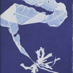 <p><b>Anna Atkins</b>, <i>Alaria esculenta</i>, 1843-1853.</p>