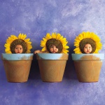 <p><b>Anne Geddes</b>, from the series 'Down in the Garden'.</p>