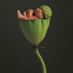 <p><b>Anne Geddes</b>, from the series 'Miracle'.</p>