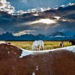 <p><b>Art Wolfe</b>, <i>Summer Pasture, Grand Teton National Park, Wyoming.</i></p>