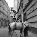<p><b>Édouard Boubat</b>, <i>Rue Servandoni, Paris</i>, 1948.</p>