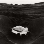 <p><b>Edward Weston</b>, <i>Shell and Rock Arrangement</i>, 1931.</p>