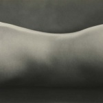 <p><b>Edward Weston</b>, <i>Nude</i>, 1925.</p>