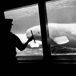 <p><b>Garry Winogrand</b>, <i>New York Aquarium, Coney Island</i>, circa 1963.</p>