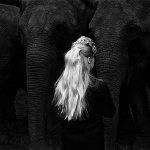 <p><b>George Krause</b><i>ELEPHANT GIRL</i>, Philadelphia, 1965.</p>