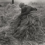 <p><b>Gerda Taro</b>, <i>Agricultural worker, Spain</i>, 1937</p>