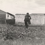 <p><b>Gerda Taro</b>, <i>Republican soldier running towards building, La Granjuela, Córdoba front, Spain</i>, June 1937</p>