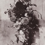 <p><b>Hippolyte Bayard</b>, <i>Bouquet de Fleurs</i>, 1845-1848.</p>