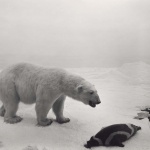 <p><b>Hiroshi Sugimoto</b>, <i>Polar Bear</i>, 1976.</p>