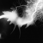 <p><b>Hiroshi Sugimoto</b>, <i>Lightning Fields 168</i>, 2009.</p>