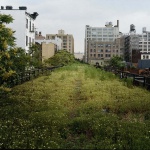 <p><b>Joel Sternfeld</b>, from High Line, 2000-2001.</p>