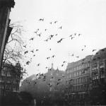 <p><b>John Gutmann</b>, <i>Good Bye Berlin</i>, 1933.</p>