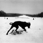 <p><b>Josef Koudelka</b>, <i>FRANCE. Hauts-de-Seine. Parc de Sceaux. 1987.</i></p>