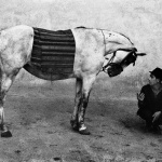 <p><b>Josef Koudelka</b>, <i>ROMANIA. 1968.</i></p>