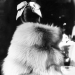 <p><b>Lillian Bassman</b>, <i>The Little Furs: Mary Jane Russell by cape-jacket by Ritter Brothers, The Essex House, New York. Harper's Bazaar</i>, 1955</p>