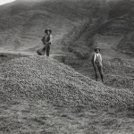 <p><b>Martín Chambi Jiménez</b>, <i>Venacio Arce and Campesino with Potato Harvest, near Katka, Quispicanchi</i>, 1934</p>