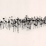 <p><b>Michael Kenna</b>, <i>Sunflowers, Sanai, Hokkaido, Japan</i>, 2004.</p>