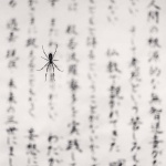 <p><b>Michael Kenna</b>, <i>Spider and Sacred Text, Study 2, Gokurakuji, Shikoku, Japan</i>, 2001.</p>