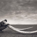 <p><b>Nick Brandt</b>, <i>Ranger with Tusks of Killed Elephant</i>, 2011.</p>
