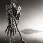 <p><b>Nick Brandt</b><i>Petrified Dove, Lake Natron</i>, 2010.</p>