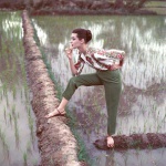 <p><b>Norman Parkinson</b>, <i>Paddy Fields in late summer</i>, British Vogue, November 1956.</p>
