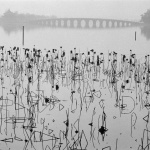 <p><b>Rene Burri</b>, <i>CHINA. Beijing. 1964. Former Summer Palace. Dead lotus flowers on the Kunming Lake.</i></p>