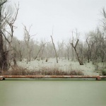<p><b>Richard Misrach</b>, <i>Swamp and Pipeline, Geismar, Louisiana</i>, 1998.</p>