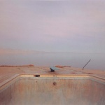 <p><b>Richard Misrach</b>, <i>Diving Board, Salton Sea</i>, 1983.</p>