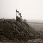 <p><b>Robert Adams</b>, <i>New development on a former citrus-growing estate, Highland, California</i>, 1983.</p>