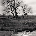 <p><b>Robert Adams</b>, <i>Untitled</i> from the series <i>Listening to the River</i>, 1985-87.</p>