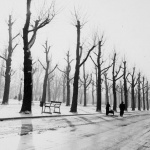 <p><b>Robert Häusser</b>, <i>Allee in Winter (Avenue in Winter)</i>, 1954.</p>