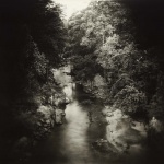 <p><b>Sally Mann</b>, <i>Untitled</i>, from the series 'Southern Landscapes', 1998.</p>