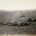 <p><b>Timothy O'Sullivan</b>, <i>A Harvest of Death, Gettysburg, Pennsylvania</i>, 1863.</p>