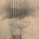 <p><b>Tina Modotti</b>, <I>Telephone Wires, Mexico</i>, circa 1925.</p>
