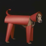 <p><b>William Wegman</b>, <i>Red Toy</i>, 2006. 20x24 Polaroid.</p>