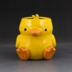 Duck pot by Arianny Huang
